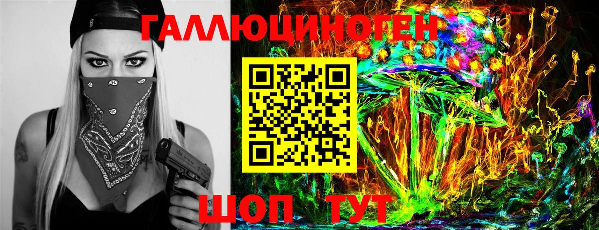 Псилоцибиновые грибы Psilocybe Реутов