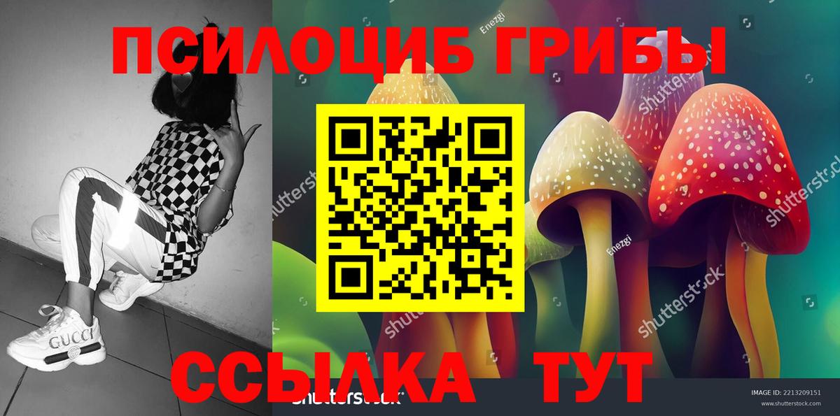 купить закладку  Галлюциногенные грибы Cubensis  Галлюциногенные грибы MAGIC MUSHROOMS  Вход с VPN  Реутов 
